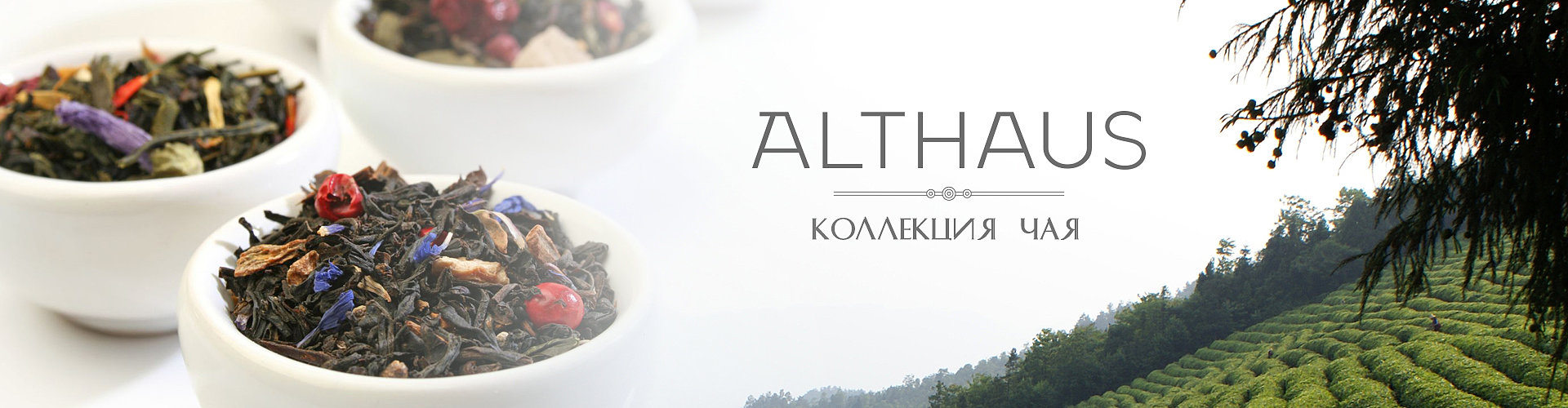 Немецкий чай Althaus